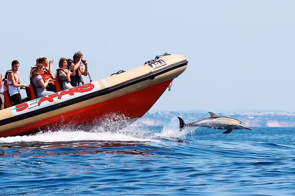 Dolphin leaping beside a Seafaris RIB speedboat filled with tourists on a thrilling dolphin watching tour in Lagos Algarve