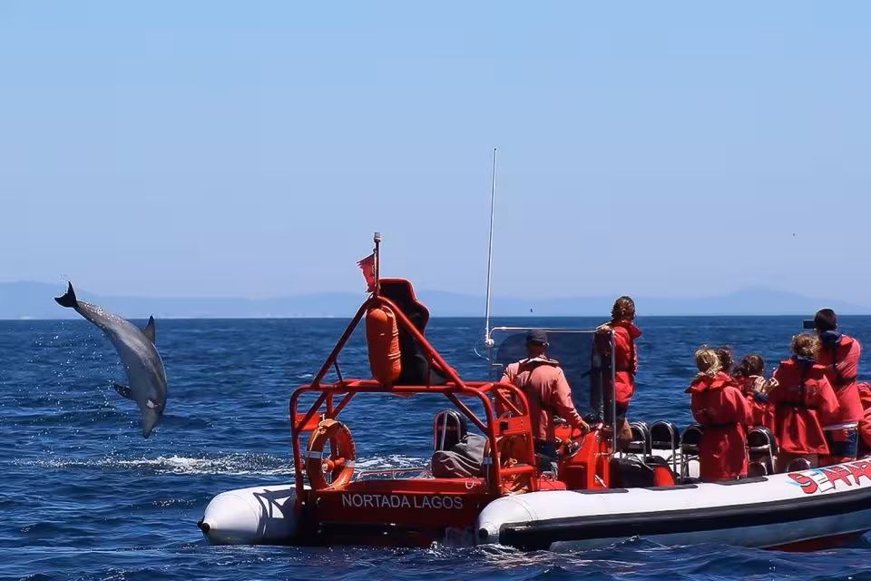 Excited tourists on a Nortada Lagos RIB boat watching a dolphin leap during a Lagos Algarve dolphin tour