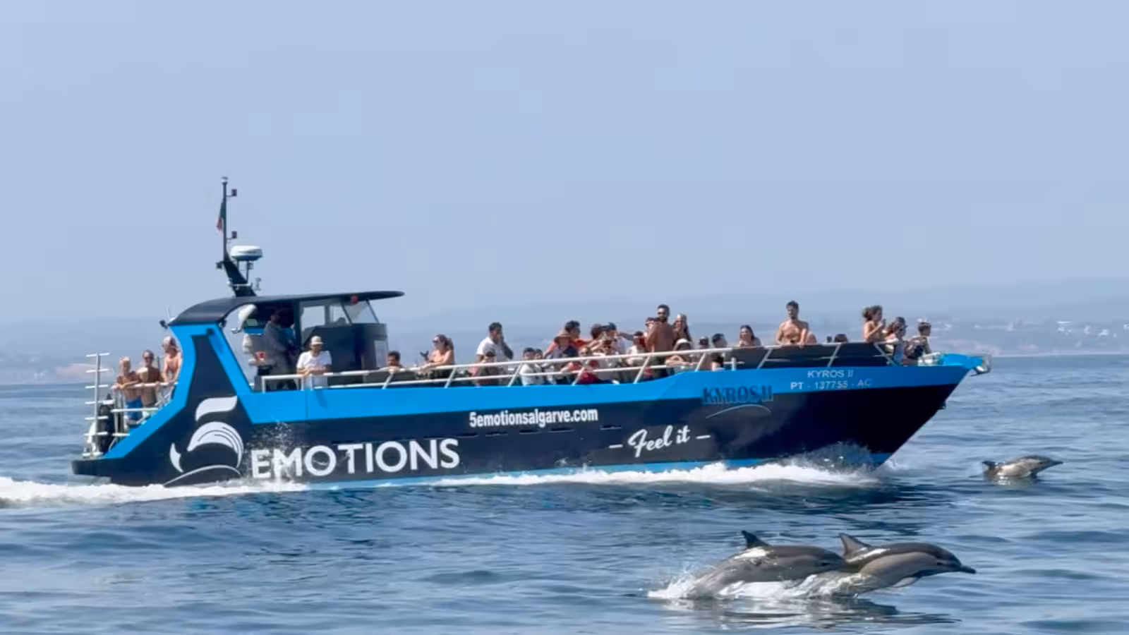 Tourists aboard a dolphin-watching boat enjoy close encounters with playful dolphins in Algarve waters, guided by a biologist.