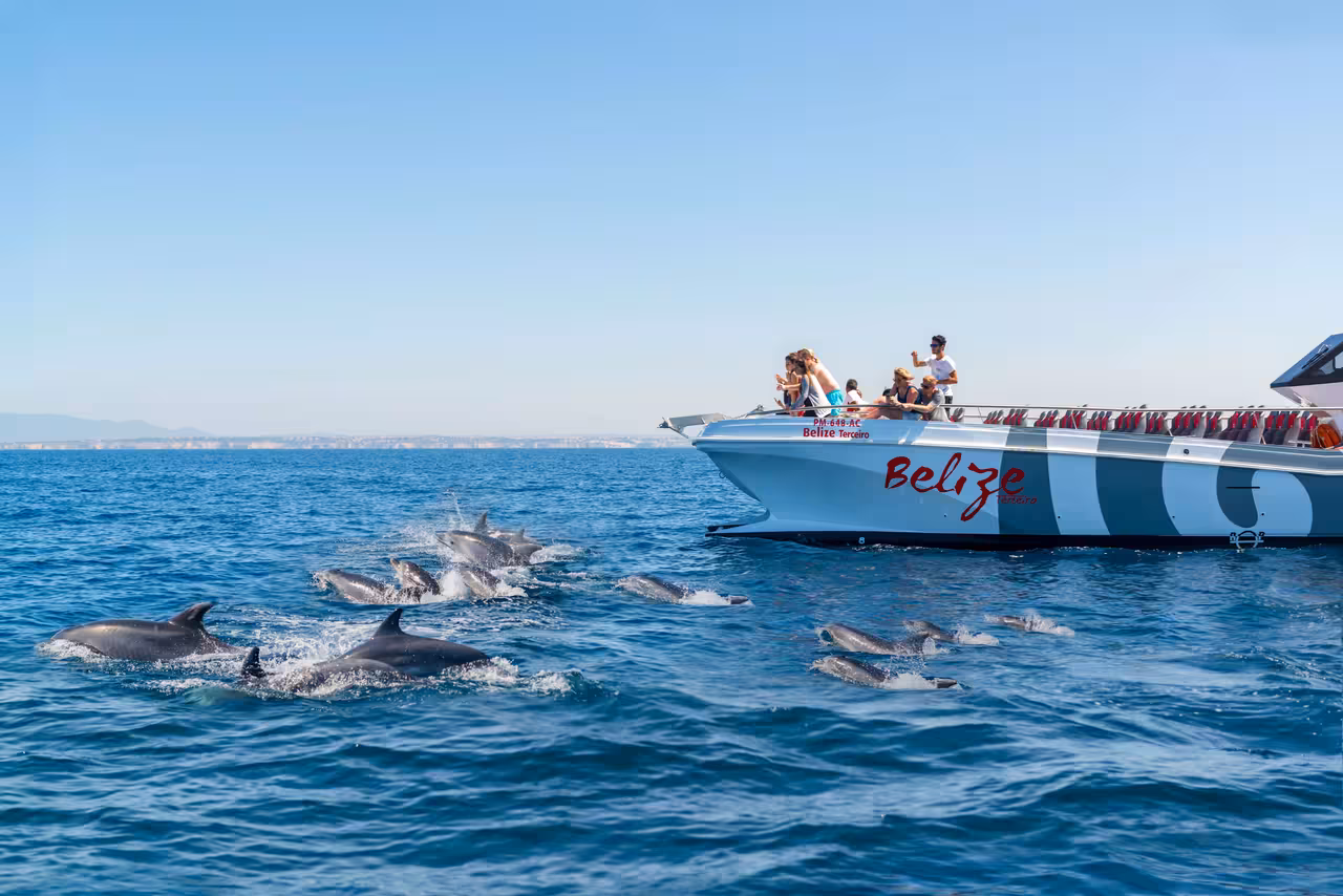 Excited tourists watching a pod of wild dolphins swim alongside a catamaran on a Portimao dolphin watching tour