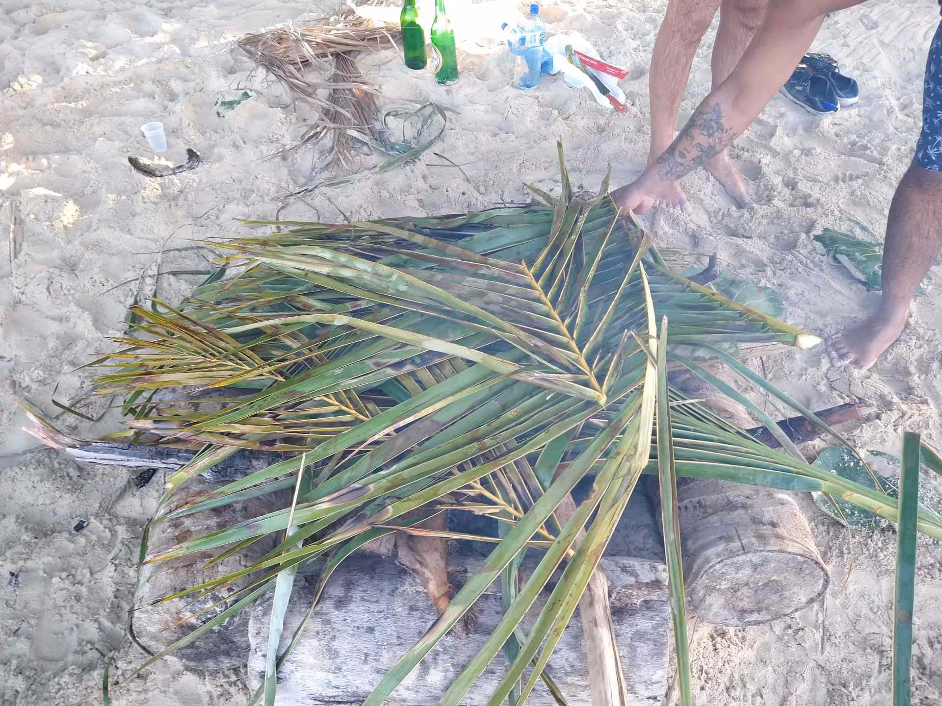 Beach campfire cooking with palm fronds on Dominican sand, authentic local experience on cultural tour