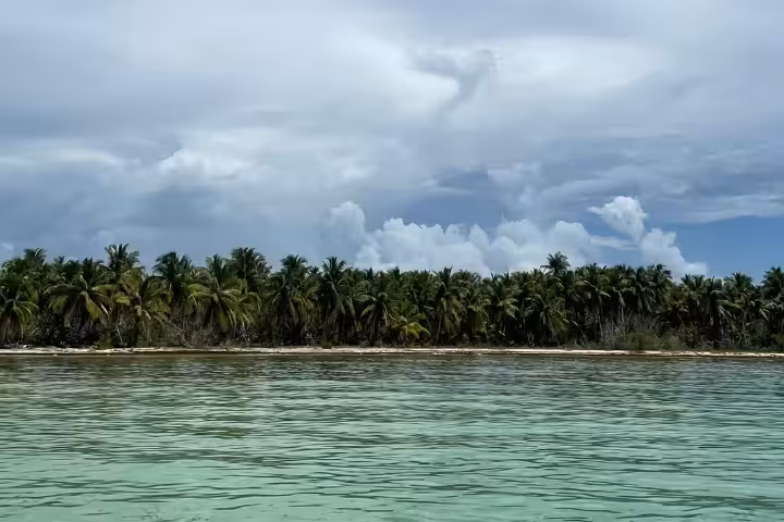 Palm-lined white-sand beach in the Dominican Republic, turquoise Caribbean waters on a 7-day self-discovery journey
