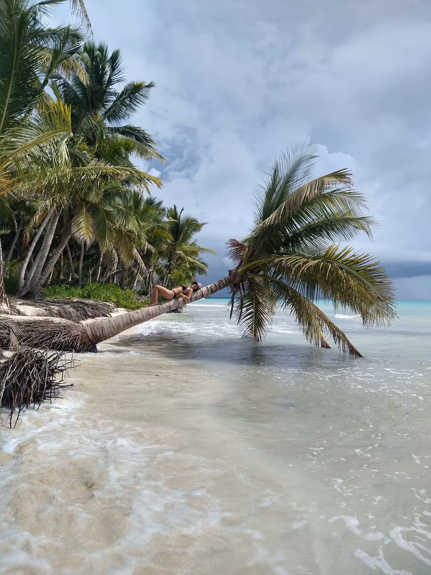Traveler relaxing on a leaning palm over a quiet Dominican Republic beach, mindful escape on a 7-day self-discovery tour
