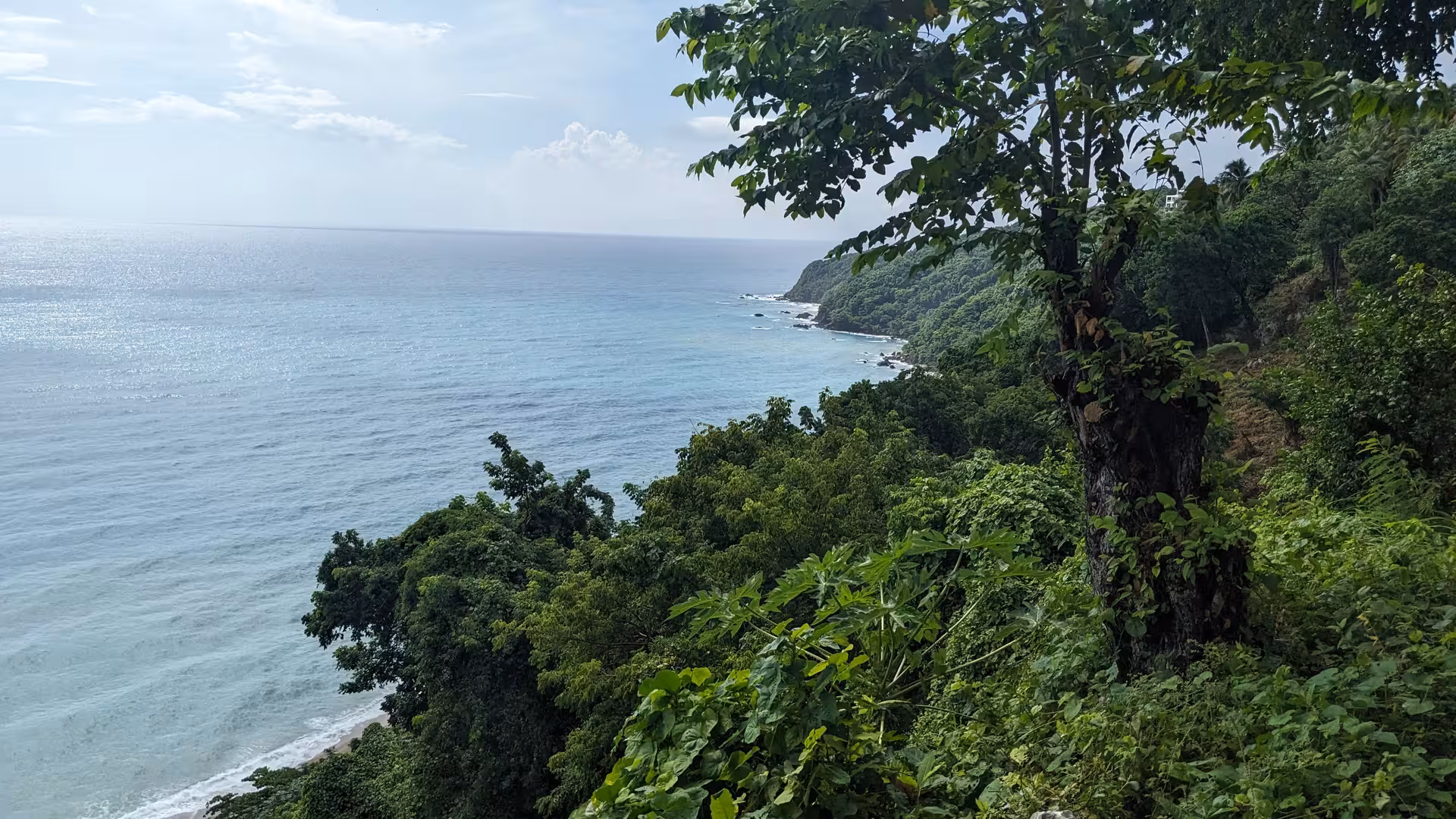 Lush Dominican Republic coastline viewpoint on a 7-day self-discovery tour, serene Caribbean sea and cliffs
