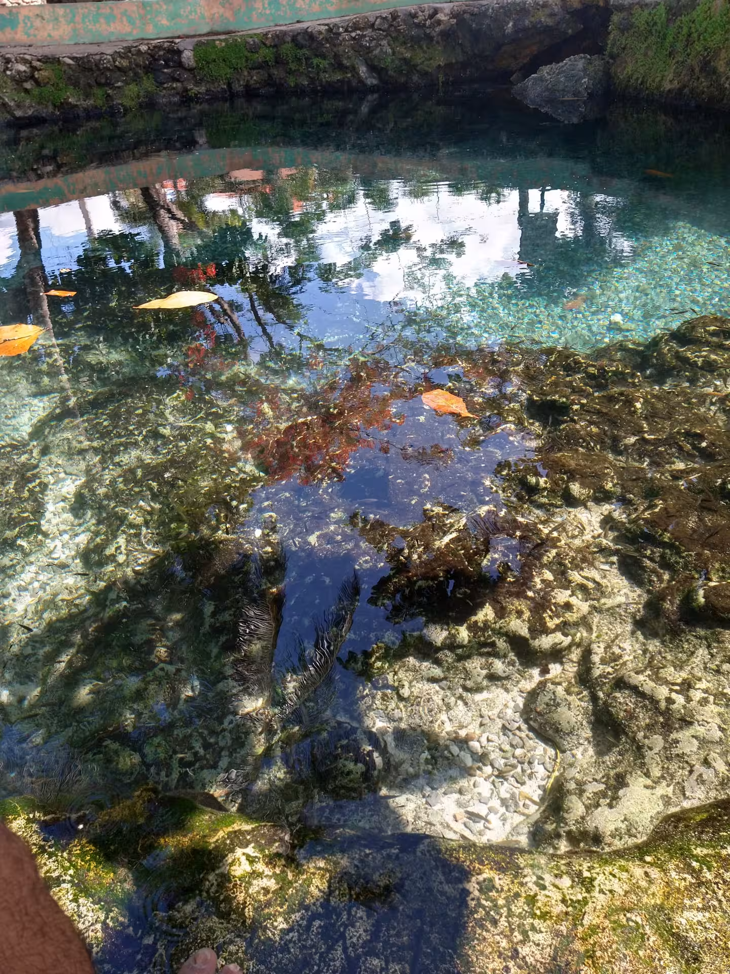 Crystal-clear freshwater lagoon in the Dominican Republic, ideal for mindful swimming on a 7-day self-discovery tour