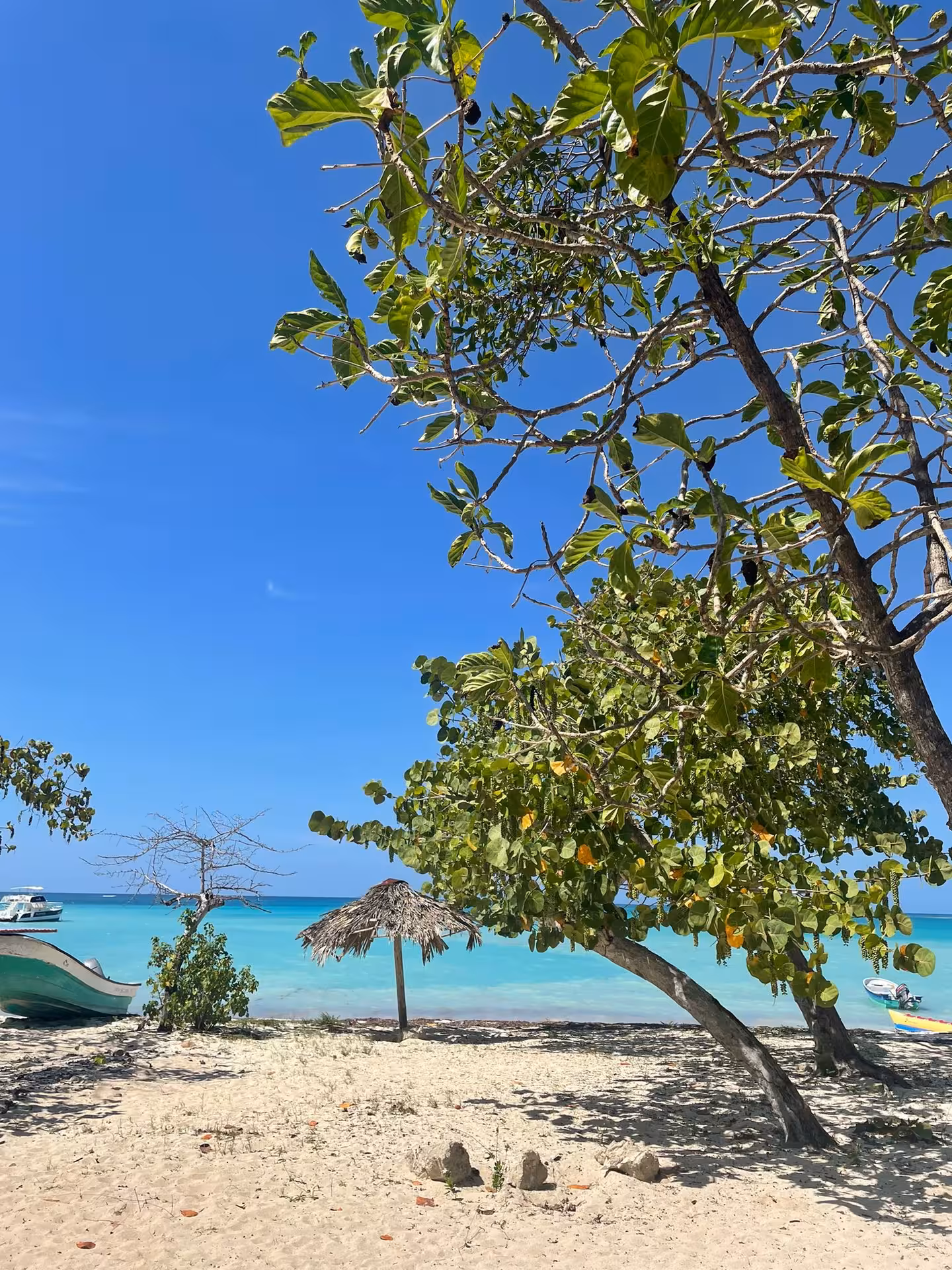Shaded tropical beach with palapa and boats on turquoise water in the Dominican Republic, 7-day self-discovery escape