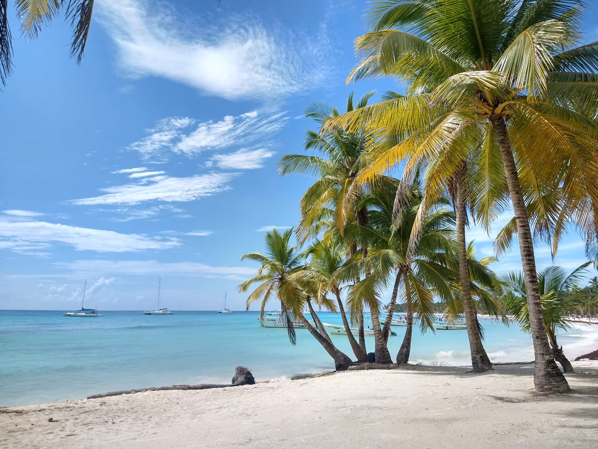 Palm-fringed white-sand beach and calm turquoise sea in the Dominican Republic, perfect for Caribbean getaway tours
