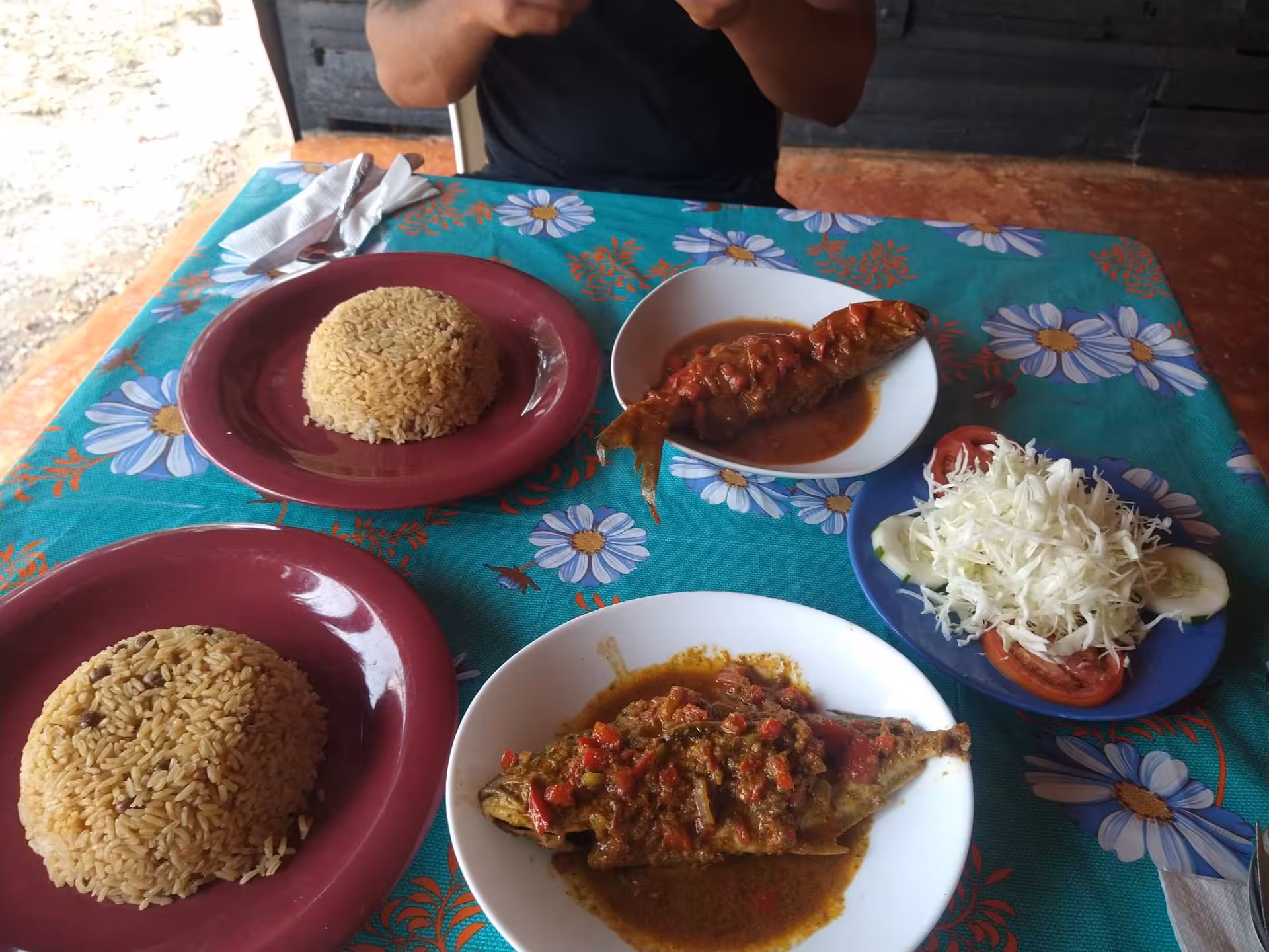Traditional Dominican lunch of rice, stewed fish and fresh salad, authentic local cuisine experience on tour