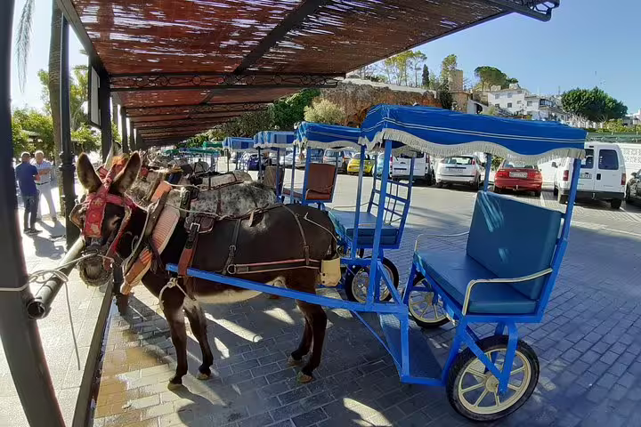 Donkey cart taxi in Mijas Pueblo, authentic Andalusian village experience on private full-day trip from Malaga