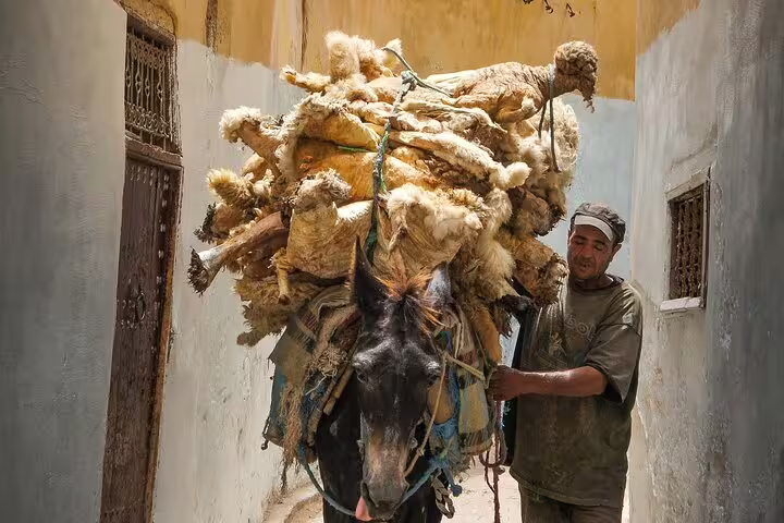 Donkey carrying hides through a narrow Fes medina alley, Morocco, authentic moment on Your Own Morocco tour