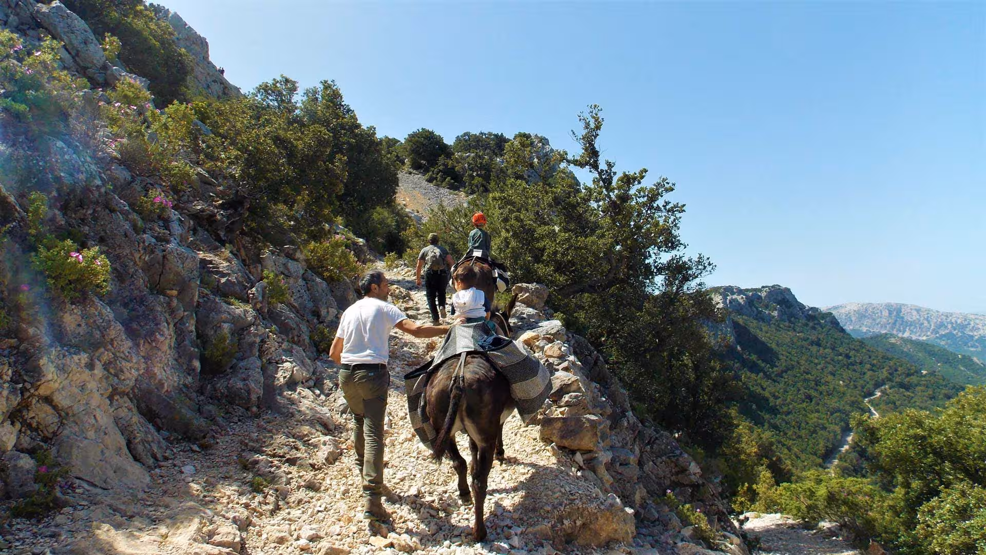 Guided donkey trekking tour on rugged mountain path near Dorgali, showcasing scenic views and adventure travel.