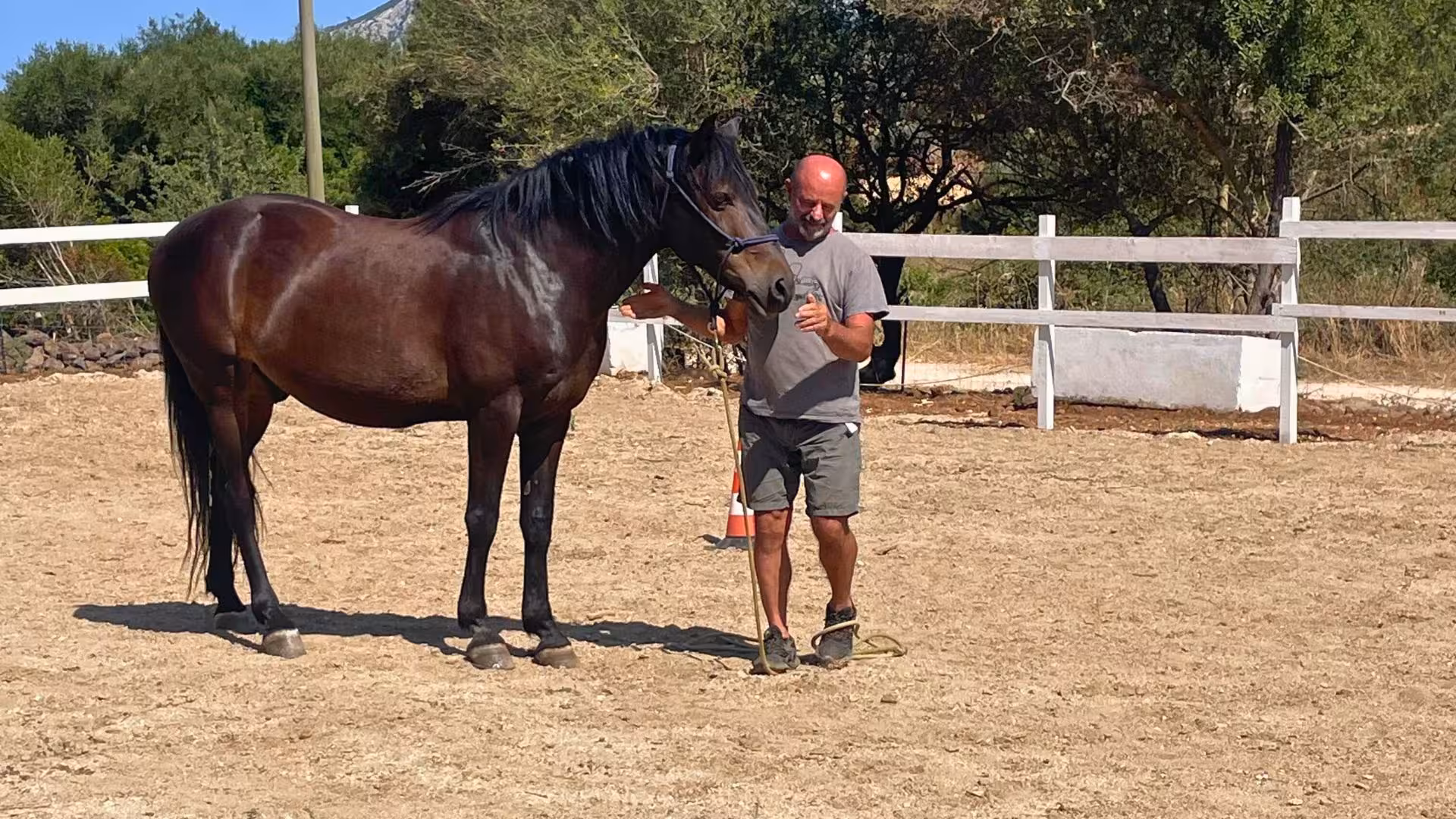 Man leading a horse in a fenced arena, highlighting the Dorgali first riding experience.