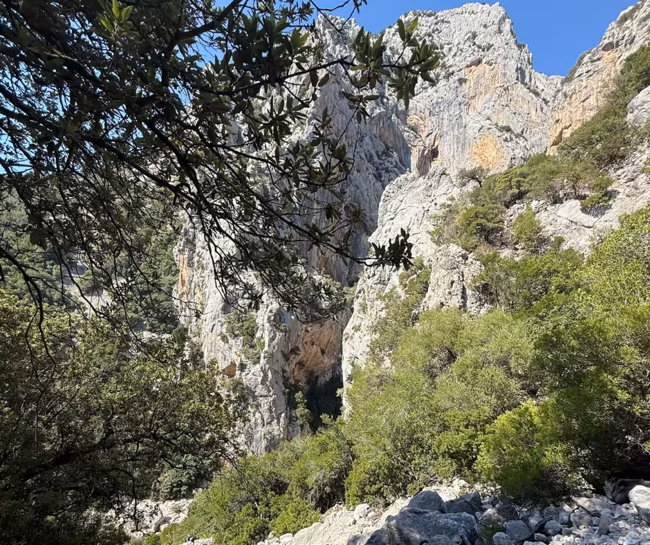 Scenic view of Gorropu Canyon's rugged cliffs and lush greenery under a clear blue sky on a Dorgali trekking tour.
