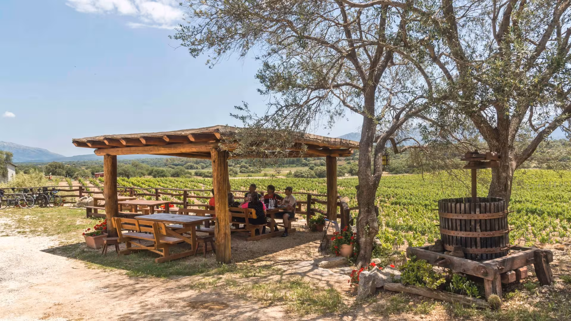 Outdoor seating at a Dorgali winery with scenic vineyard views, perfect for wine tasting tours.
