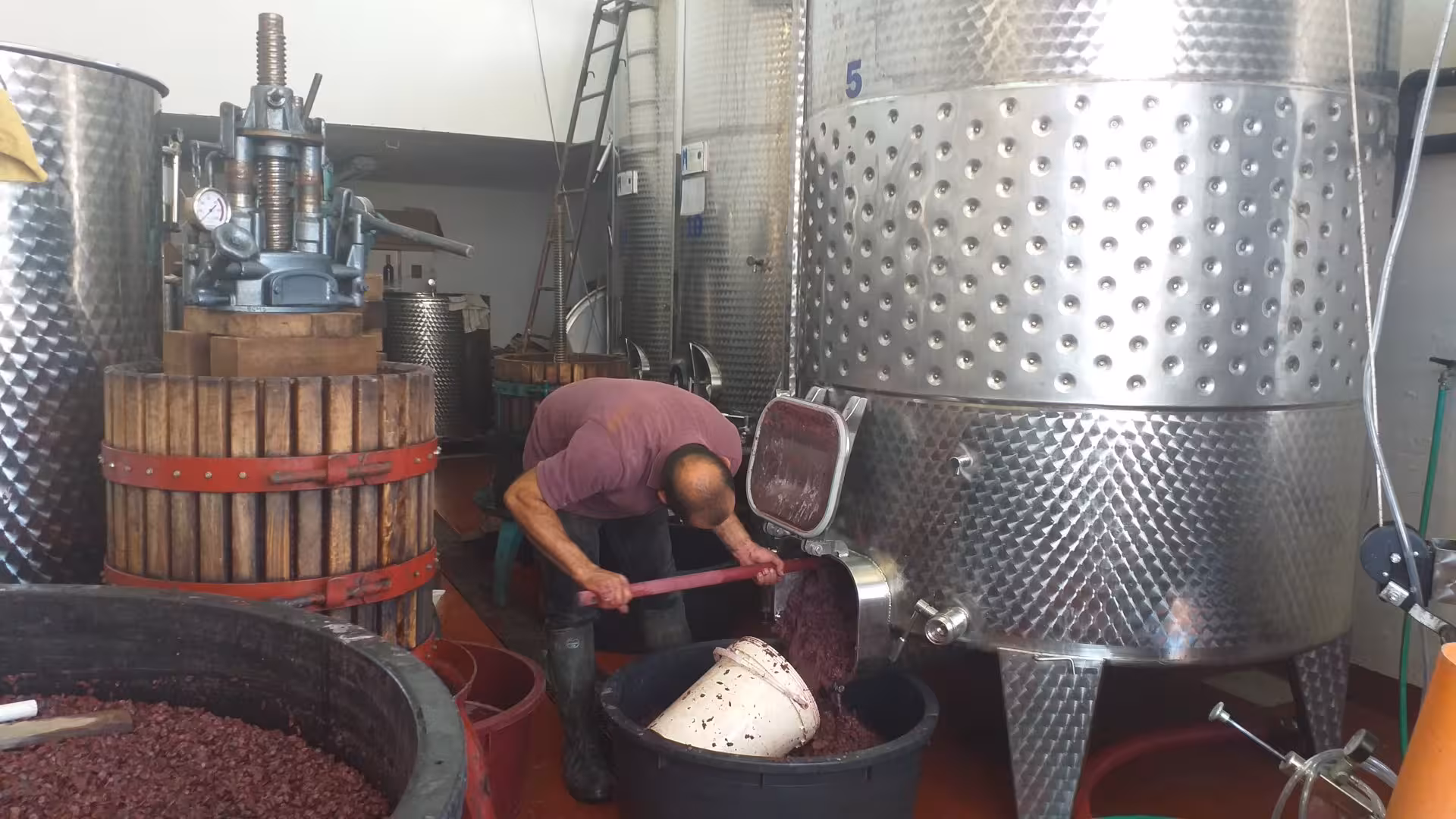 Winemaker processes grapes in a Dorgali winery, showcasing traditional wine production methods.