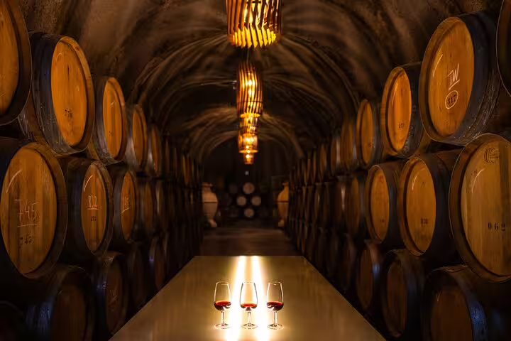 Explore a Douro winery cellar with oak barrels and tasting glasses on a luxury private cruise experience.
