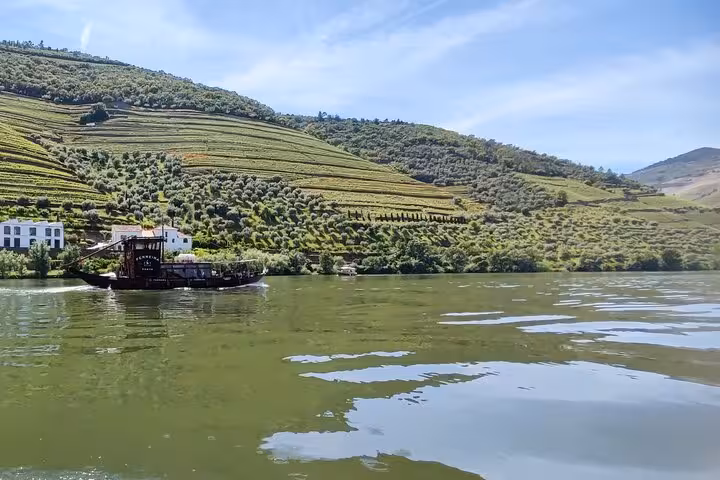 50-minute guided Douro River boat tour by terraced vineyards, scenic cruise with Port wine included
