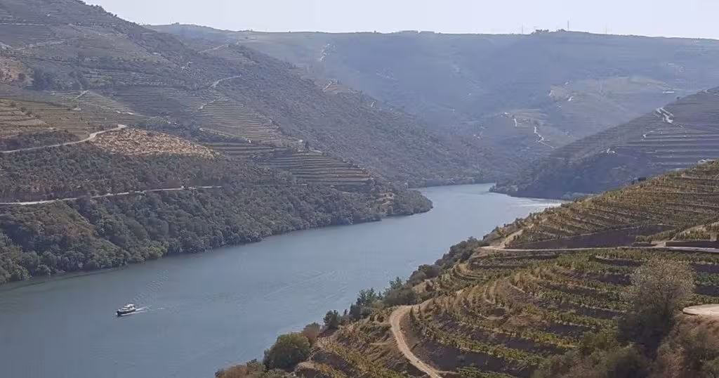 Panoramic view of a boat cruising the Douro River flanked by terraced vineyards on a private wine tasting tour