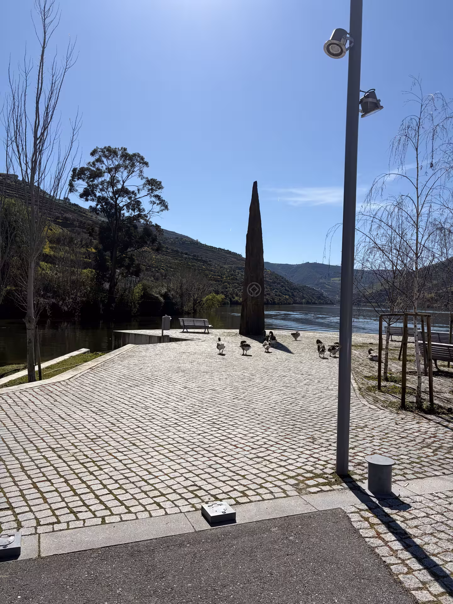 Scenic Douro River Valley waterfront promenade with ducks and terraced vineyard hills on a private boat cruise tour