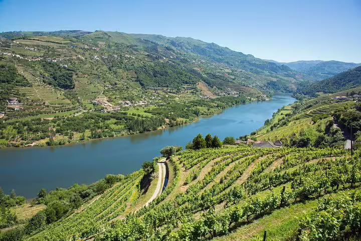 Breathtaking view of Douro River meandering through lush vineyards, showcasing the valley's natural beauty and tranquility.