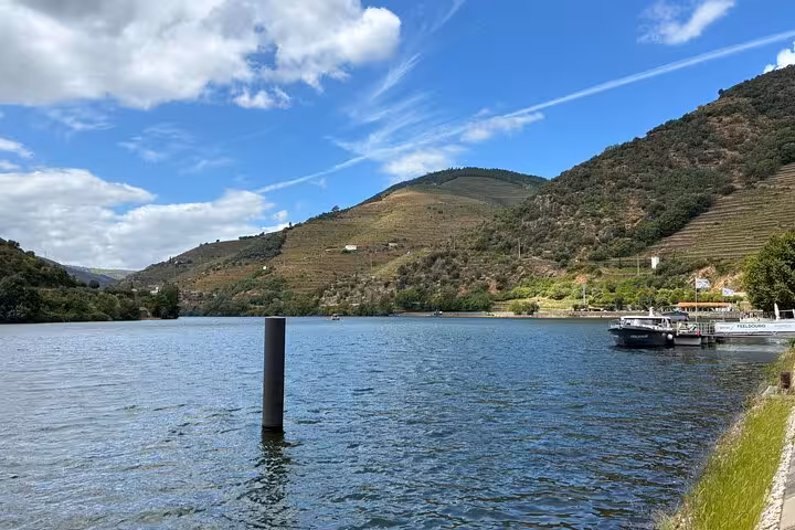 Douro River viewpoint for 1-hour cruise on private wine tour from Porto, terraced hills and calm water
