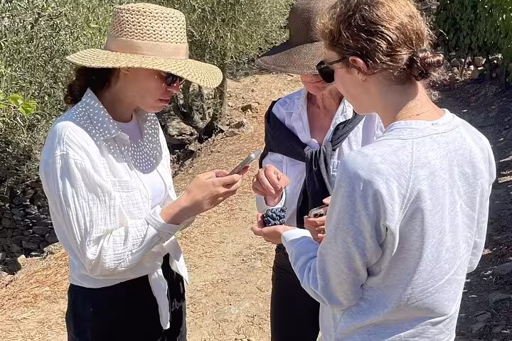 Tourists tasting grapes under olive trees in the scenic Douro Valley during a private 4x4 tour experience.