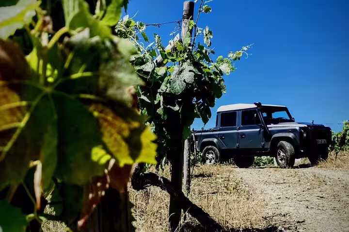 Off-road 4x4 vehicle parked amidst lush vineyards under a clear blue sky in Portugal's Douro Valley.