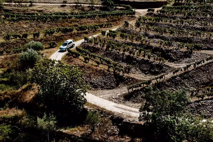 Explore the scenic Douro Valley vineyards via 4x4, offering breathtaking views on a private full-day adventure.