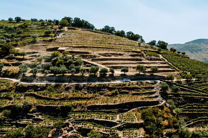 Discover stunning terraced vineyards in Douro Valley on a thrilling 4x4 private tour, showcasing Portugal's natural beauty.