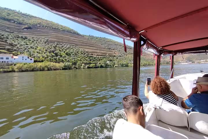Boat cruising the Douro Valley on a 50-minute guided tour, passing terraced vineyards with Port wine included