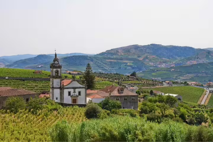 Scenic view of a historic church amidst lush vineyards in the picturesque Douro Valley, perfect for a self-drive tour in Northern Portugal.
