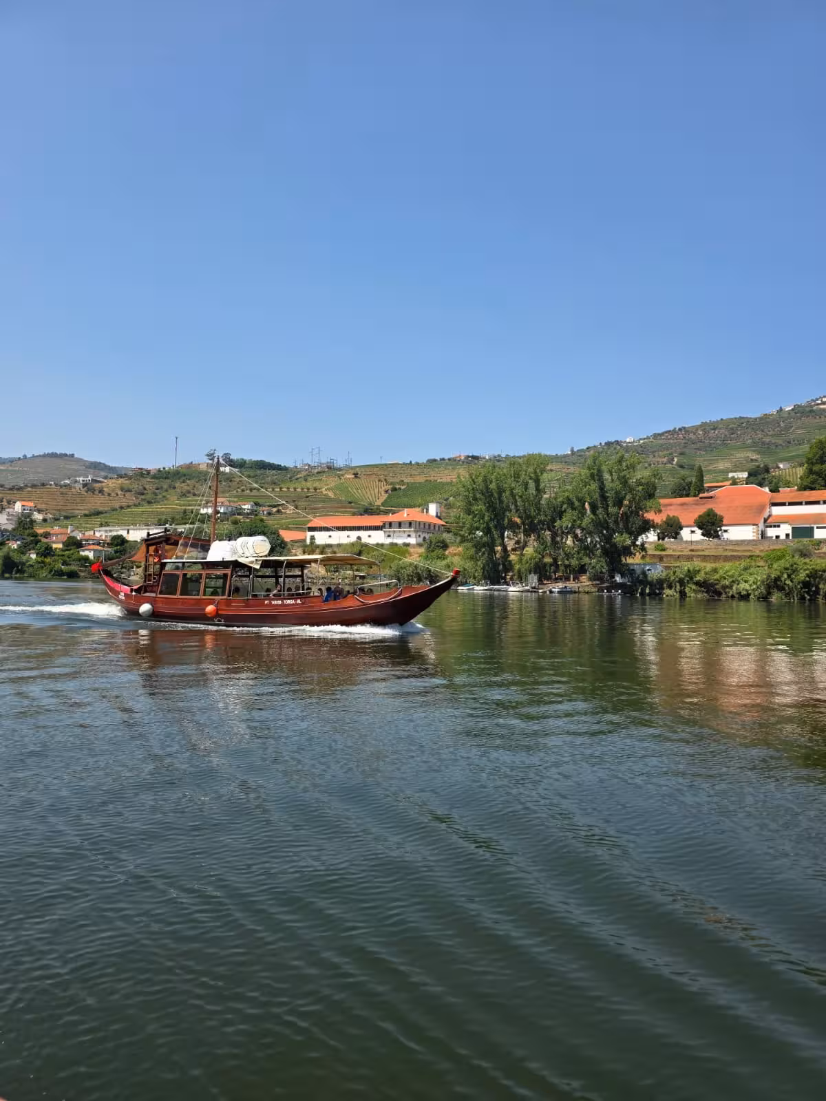 Traditional river cruise boat passing vineyards and riverside village, panoramic tour on the Douro Valley river