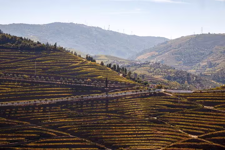 Scenic view of terraced vineyards in Douro Valley under a clear blue sky, perfect for a private 4x4 wine tour.