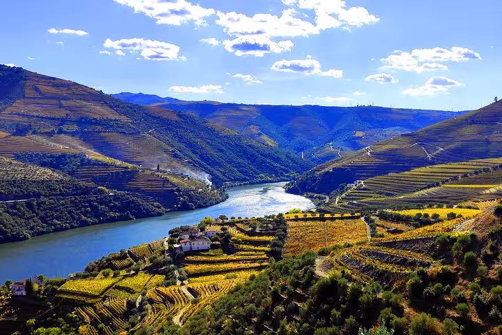 Panoramic Douro Valley terraced vineyards along the river, ideal Portugal wine trip with scenic views