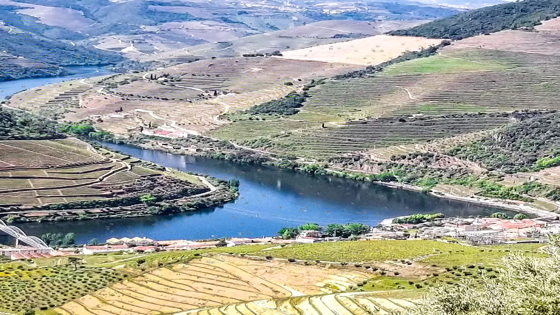 Scenic view of Douro Valley's terraced vineyards and river, highlighting the stunning landscape of the Foz Côa wine region.
