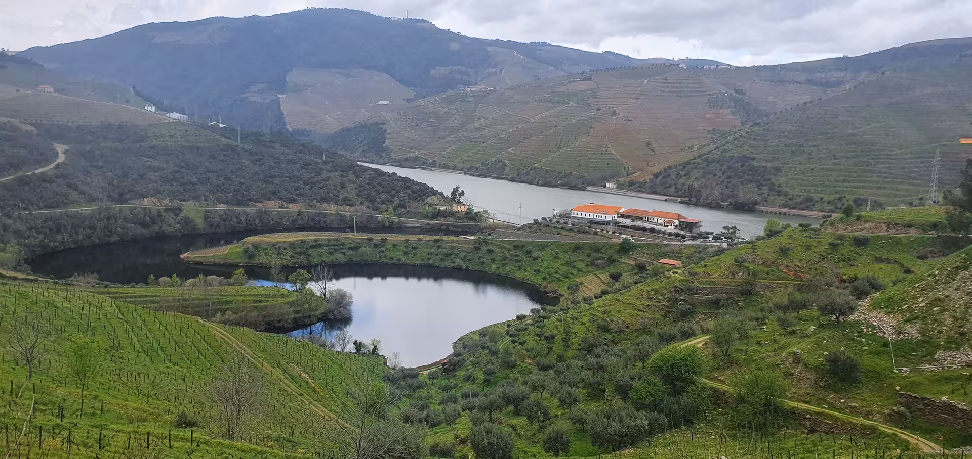 Douro River bend and terraced vineyards on Douro Valley tour from Gaia with winery visit and wine tasting