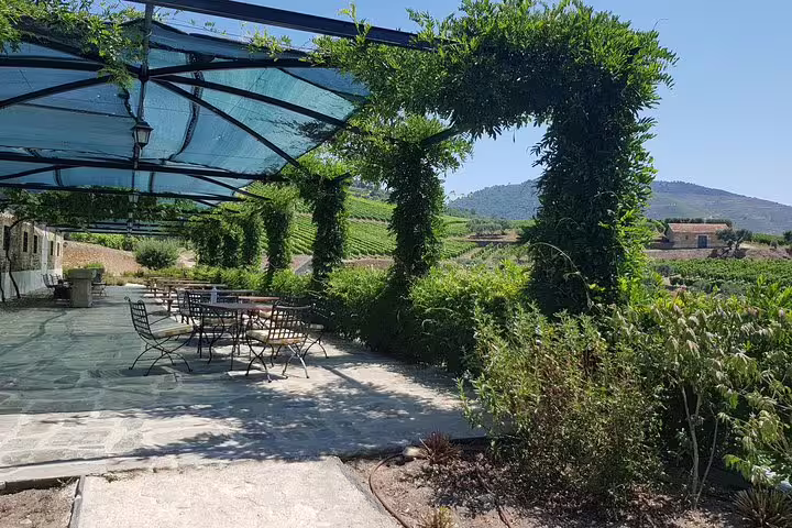 Scenic outdoor dining area at a Douro Valley vineyard, offering stunning views of lush grapevines and hills.