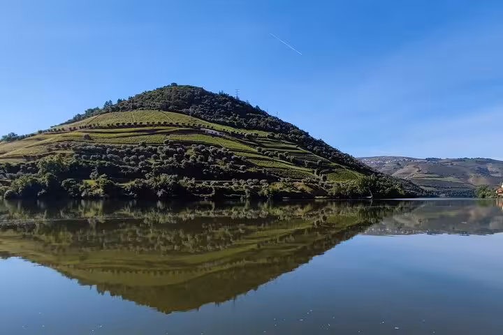 Stunning Douro Valley terraced vineyard hillside reflecting on calm river waters during scenic Portugal boat wine tour