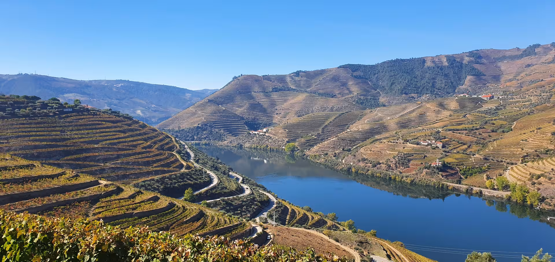 Terraced vineyards and Douro River viewpoint on Douro Valley tour from Gaia with winery visit and boat cruise
