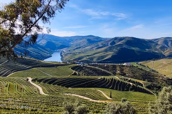 Stunning panoramic view of terraced Douro Valley vineyards and river on a Portuguese wine tour