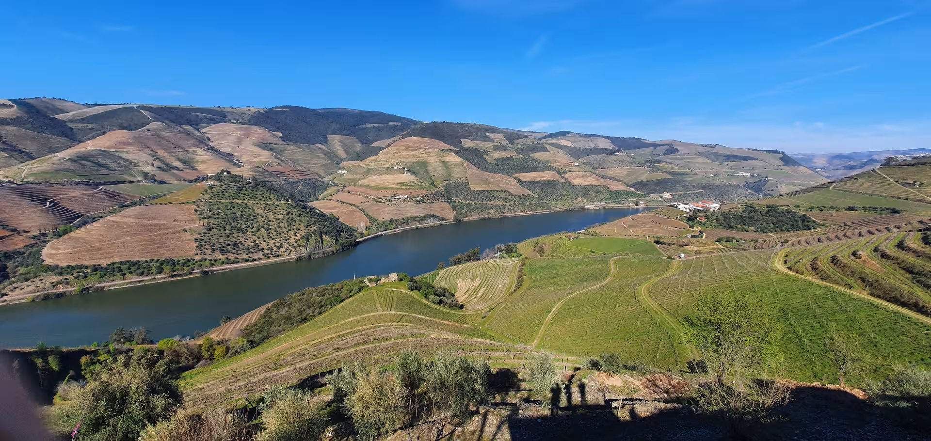 Breathtaking panoramic view of Douro Valley terraced vineyards and river on a private wine tour