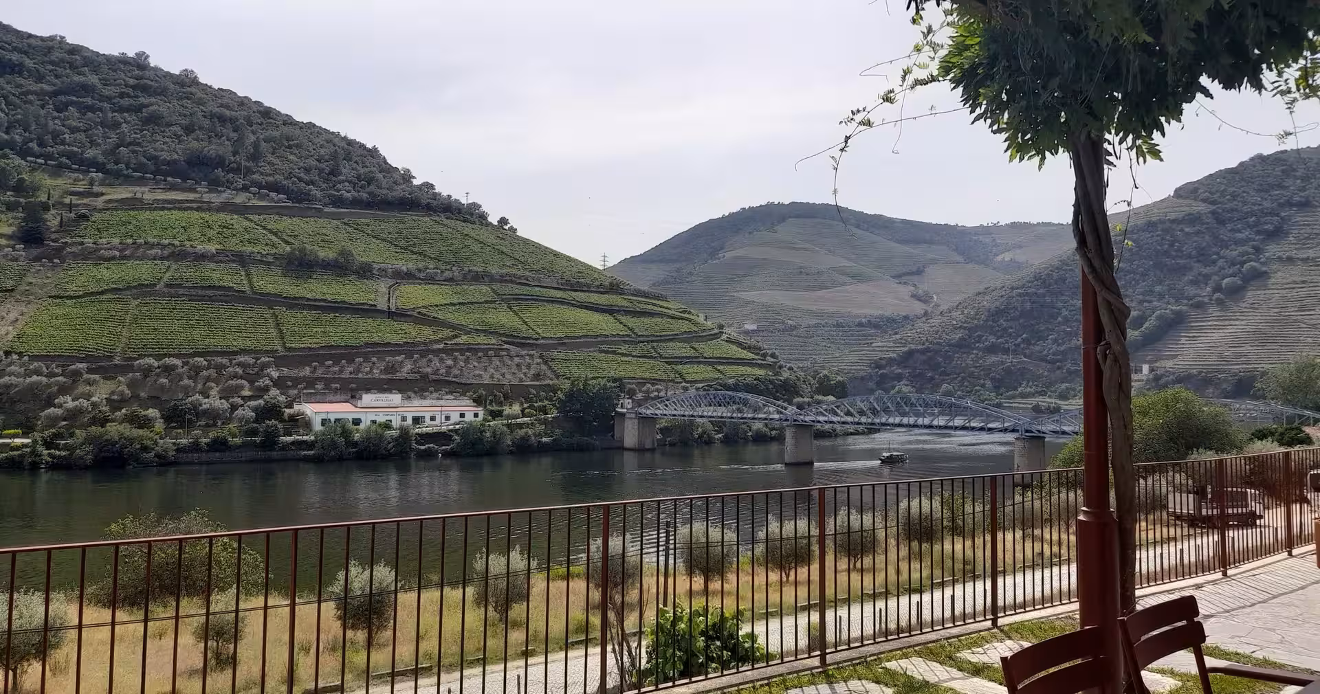 Douro Valley river and terraced vineyards view from a winery terrace on a small-group Braga hike lunch and wine tour