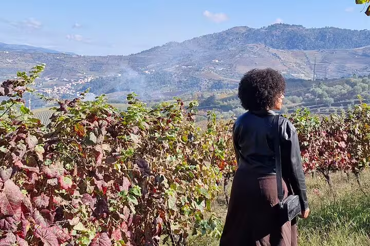 Traveler enjoying scenic vineyard views during Douro Valley guided tour with lunch.
