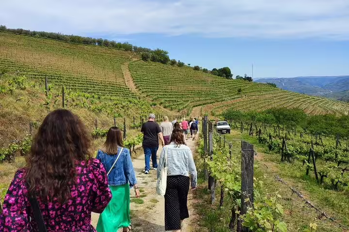 Tourists walking through lush Douro Valley vineyards, enjoying a guided wine tasting tour with stunning landscapes.