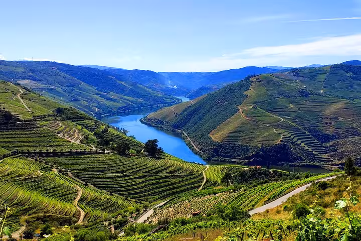 Scenic Douro Valley viewpoint with winding river and terraced vineyards, ideal for premium wine tour Portugal