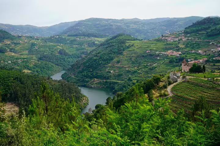 Panoramic Douro Valley terraced vineyards and river bend, scenic stop on 2-day private Lisbon to Porto tour