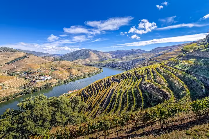 Terraced vineyards above the Douro River valley, scenic stop on Lisbon to Porto ride with wine experience