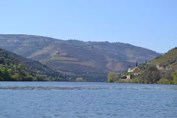 Scenic view of Douro Valley vineyards with a tranquil river, perfect for wine tours and river cruises.
