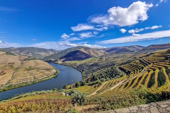 Scenic view of Douro Valley vineyards and river under a bright blue sky, perfect for a private tour from Lisbon.