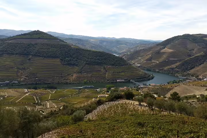 Breathtaking view of Douro Valley vineyards and river, showcasing the picturesque landscape of the private tour from Porto.